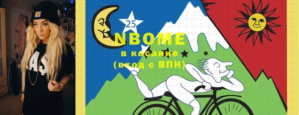 мдпв Арсеньев